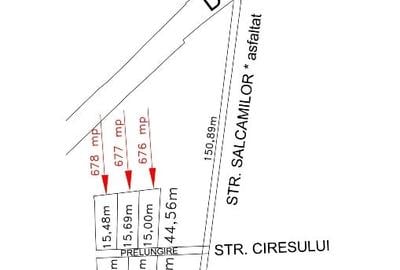 Teren Intravilan comuna Ciulnita - judetul Ialomita - 2