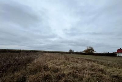 Teren de 2800 mp, în Satulung - 4