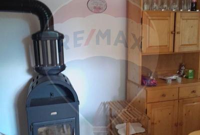 Casă cu 3 camere cu Teren 860 Mp în Băișoara - 14