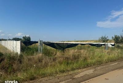 Teren de 1300 mp, în Cârcea