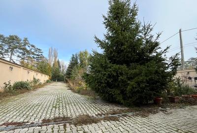 REV2005341 Vila deosebita cu piscina si teren generos Buftea zona exclusivista - 5