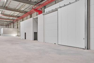 Spatii industriale de inchiriat in cadrul WDP Timisoara Park - Sag III - 5