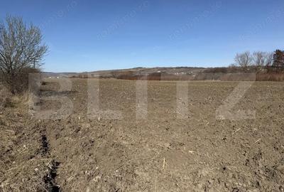 Teren de 4000 mp, în Hereclean - 2