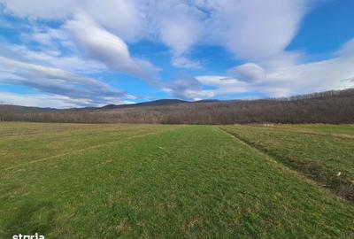 Spațiu comercial, în Central - 4