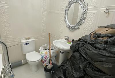 Apartament cu 3 camere decomandat, mobilat în Lujerului - 14