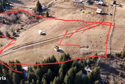 Spațiu comercial, în Șaru Dornei