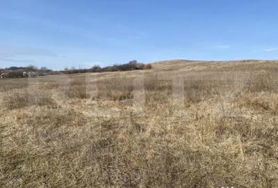 Teren de 140551 mp, în Recea - 3