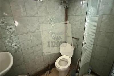 Casa individuala cu 2 camere si 495 mp teren in Sura Mare - 8