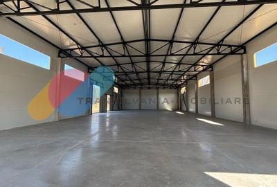 Hale de inchiriat – 600 mp, open space, acces TIR, zona intrare Baciu - 2