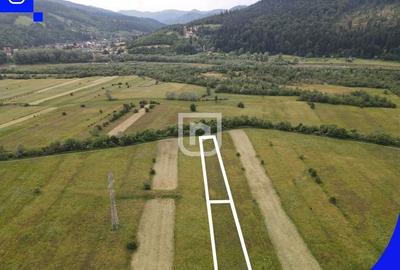 Teren Voroneț | Gura Humorului | Suceava - Bucovina - 2832mp - 3