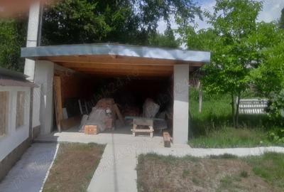 Vand casa mare tip vila in mara, mm tel. - 4