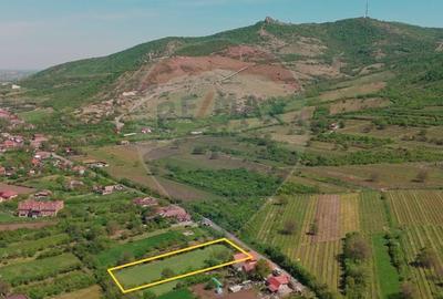 Teren Construcții intravilan de 3225 mp, în Șiria - 3