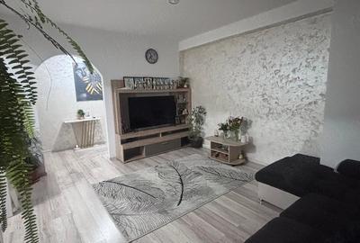 Apartament cu 2 camere semidecomandat în Ozana - 9