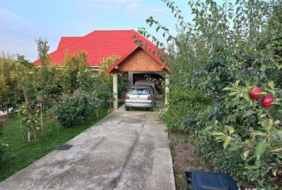 Casă cu 6 camere cu Teren 1997 Mp în Homocea - 5