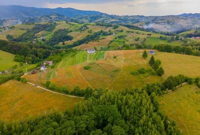 Comision 0 %/Teren intravilan 11.600mp Poiana Marului / Natura/Poveste - 5