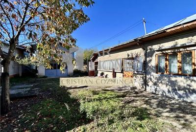 Casă cu 4 camere cu Teren 2243 Mp în Românești - 18