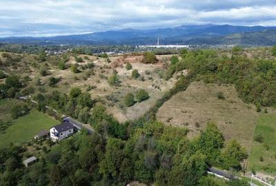 Teren de vanzare in Campulung-Muscel - 33598 mp - 1