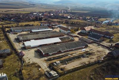 Spațiu comercial, în Boroșneu Mare - 15