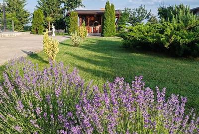 Casă cu 3 camere cu Teren 3280 Mp în Central - 15