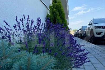 Apartament cu 2 camere decomandat, mobilat în Sânpetru