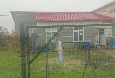 Casa 4 dormitoare adunatii copaceni - 2