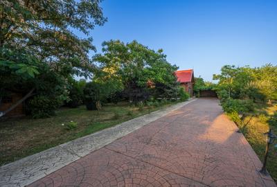 Casă individuală cu 3 camere cu Canalizare în Central - 7