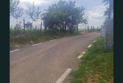 Spațiu comercial, în Valea Călugărească - 6