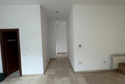 Birou, de 50 mp, în Basarabia - 9