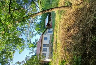 Casa in Mun?ii Buzaului Casa in Mun?ii Buzaului - 1