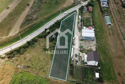 Teren Construcții intravilan de 1098 mp, în Jucu de Mijloc - 2
