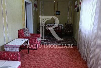 Casă cu 4 camere în Băile 1 Mai - 19