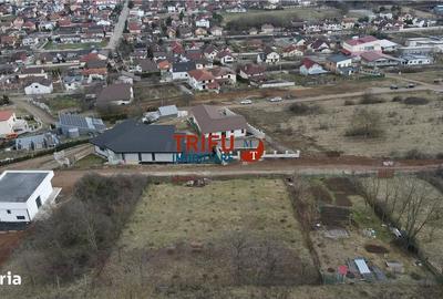 Teren de 990 mp, în Cetate - 2