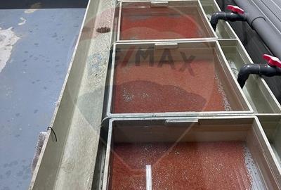 Pastravarie smart/ functionala/ Com.Rosia Bihor - 10