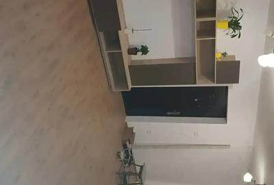 Apartament 2 camera in vila - 4