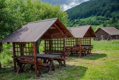 Hotel / Pensiune cu 10 camere de vanzare/Vama Buzaului - 58