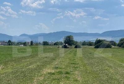 Oportunitate de investitie!! Teren extravilan,4000 mp, Vicov - 5