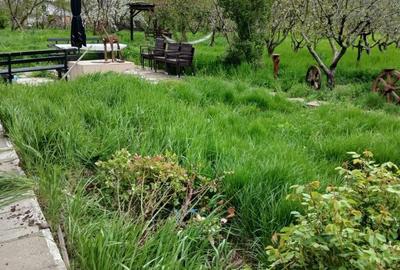 Casă cu 4 camere în Istria - 4