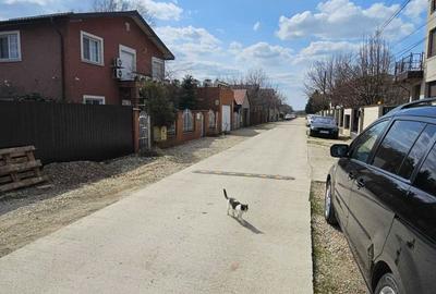 Teren de 356 mp, în Berceni - 8