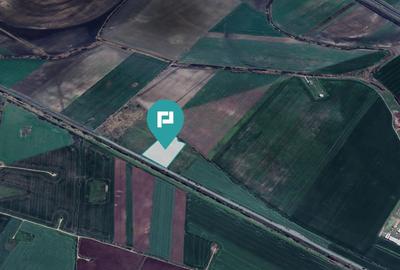 Teren 22.500 mp–Pecica, jud. Arad,Posibilitate PUZ - 14