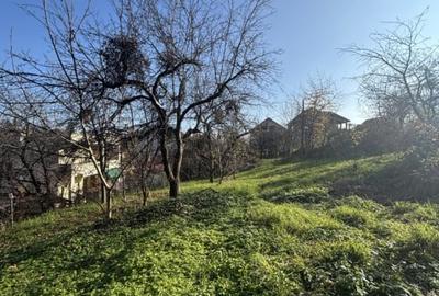 Teren de vanzare Valea Rosie - 3