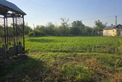 Casă cu 5 camere în Brăgăreasa - 2