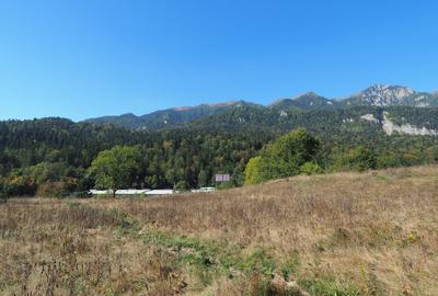 VANZARE TEREN INTRAVILAN SINAIA-CUMPATU Strada Zamora-9.801 mp-Comision 0% - 27