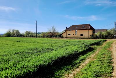 Teren agricol extravilan de 4923 mp, în Sântuhalm - 2