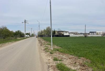 Teren de 11470 mp, în Domnești