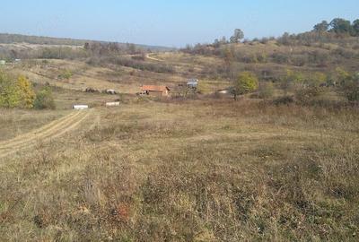 Teren de 4900 mp, în Leamna de Sus - 3