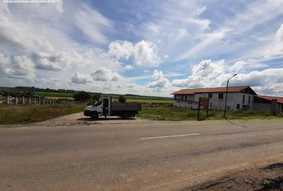 Teren intravilan de loc.Murighiol Jud.Tulcea - 6