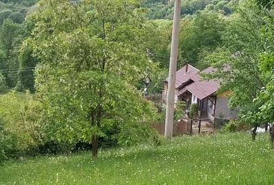 Teren de 3150 mp, în Poiana - 2