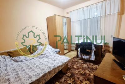 Casă singur în curte, 363 mp teren – zona Record, 2 intrări, anexa, trifazic - 5