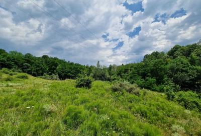 Spațiu comercial, în Slănic - 7