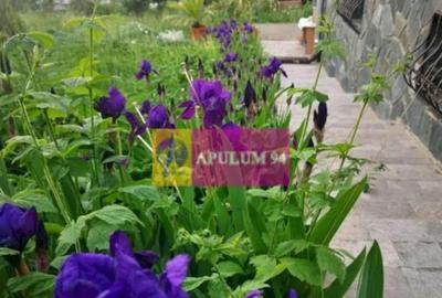 Casă cu 3 camere cu Teren 727 Mp în Poiana - 3